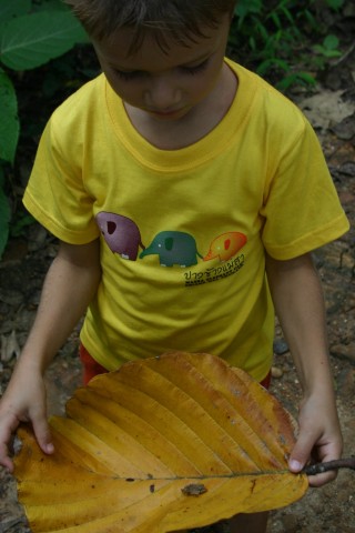 s-goliamo-zylto-listo.thai